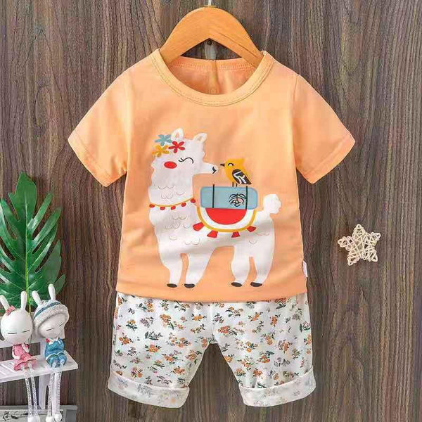 JI Llama Peach 2 Piece Long Nikkar Set 4545