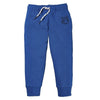 LUP Lion Printed Royal Blue Winter Trouser for Boys
