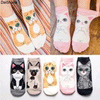 RaadFeel Cats Character 5 Packs Of Cotton Socks 8692